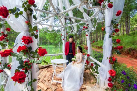 Bride groom vietnam