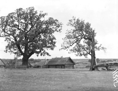 Mutvica. Мутвіца (S. Bochnig, 1929)