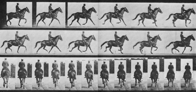 Muybridge, Eadweard - Beauty mit Reiter (0.52 Sekunden) (Zeno Fotografie)