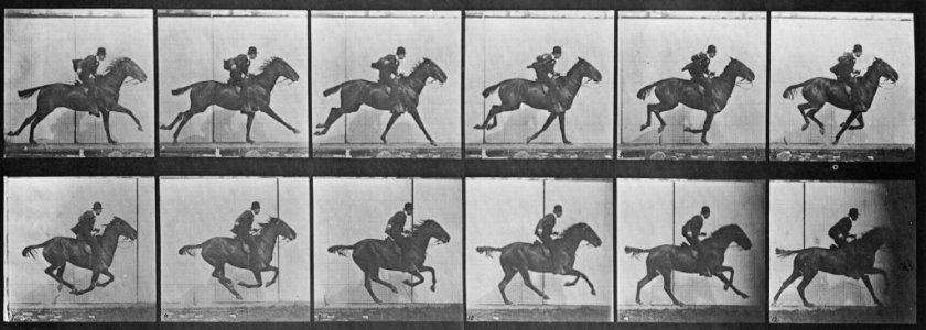 Muybridge, Eadweard - Daisy mit Reiter (1) (Zeno Fotografie)