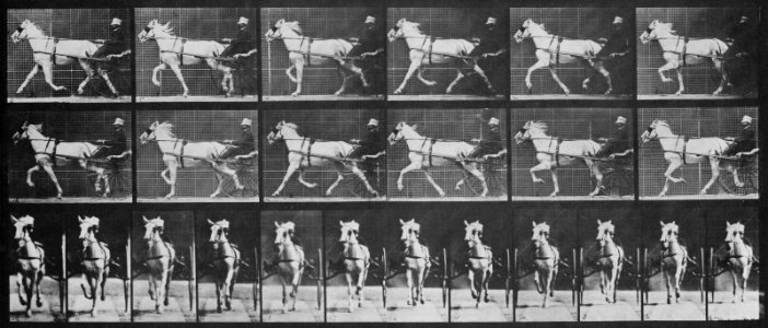 Muybridge, Eadweard - Katydid mit Sulky (0.70 Sekunden) (1) (Zeno Fotografie)