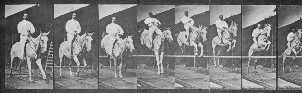 Muybridge, Eadweard - Pandora überspringt eine Hürde (1.49 Sekunden) (Zeno Fotografie)