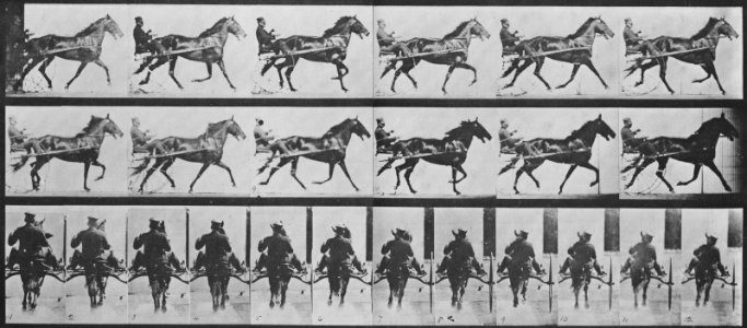 Muybridge, Eadweard - Pornto mit Sulky (0.74 Sekunden) (Zeno Fotografie)