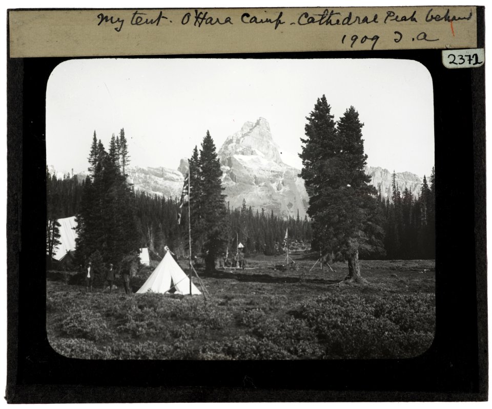 My Tent O'Hara Camp YORYM TA2372