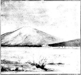 Mycenaean Troy p019-Fig 1