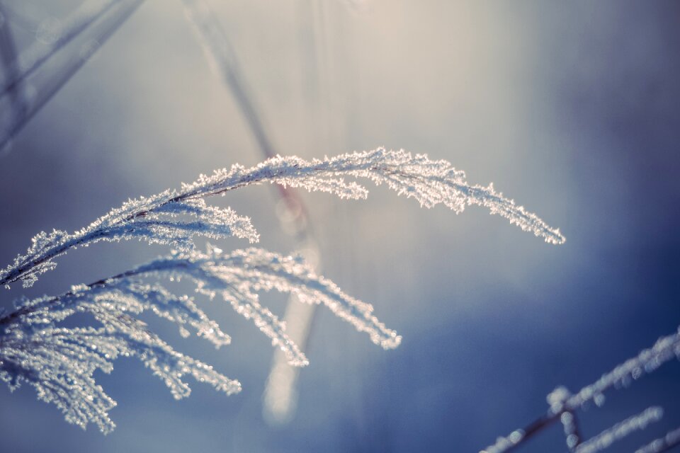 Winter weather blue