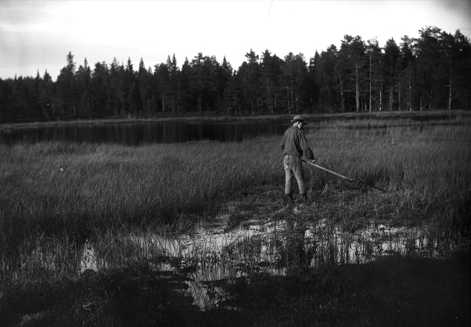 Myrslåtter, Mangskogs socken, Värmland - Nordiska museet - NMA.0040783