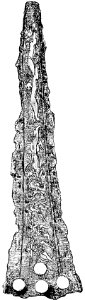 Mycenaean Troy p093-Fig 34