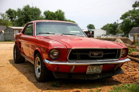 Mustang (28989601738)
