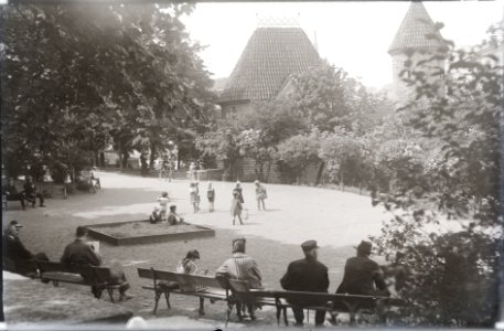 Musumägi (Viruvärava mägi), AM N06065