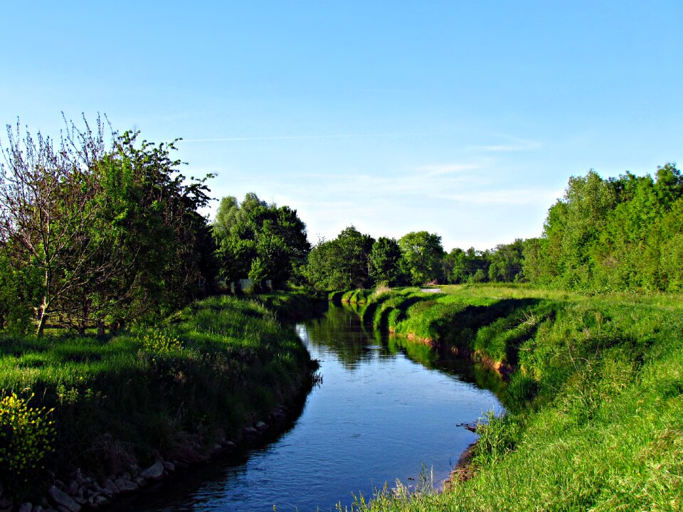 Stream landscape nature