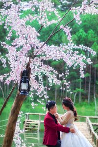 Bride groom vietnam