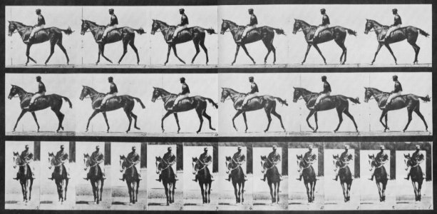 Muybridge, Eadweard - Annie G. mit Jockey (0.44 Sekunden) (Zeno Fotografie)
