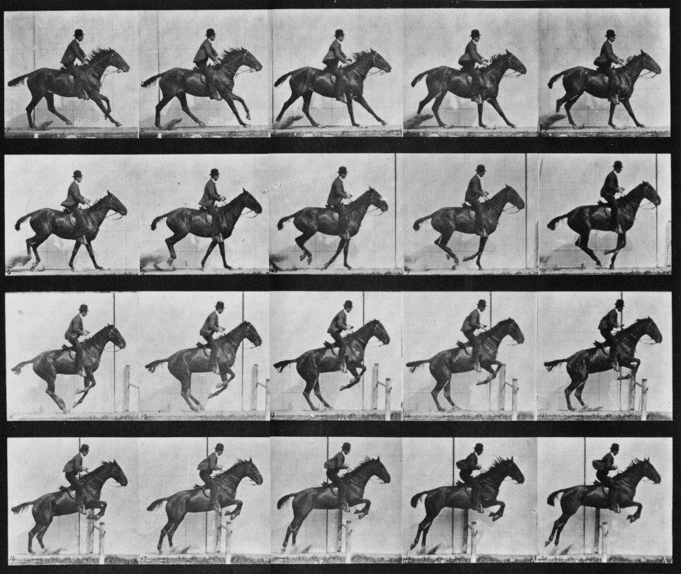 Muybridge, Eadweard - Daisy überspringt eine Hürde (1) (Zeno Fotografie)