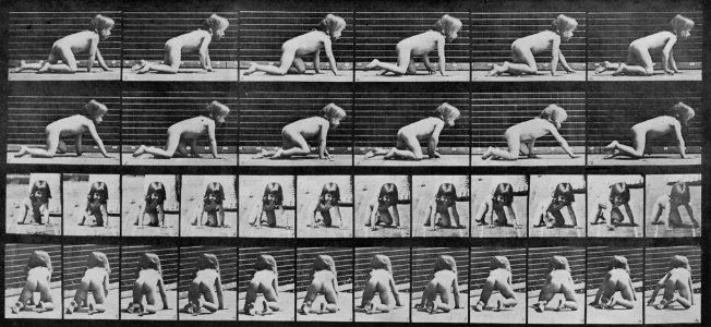 Muybridge, Eadweard - Krabbelndes gesundes Kind (Zeno Fotografie)