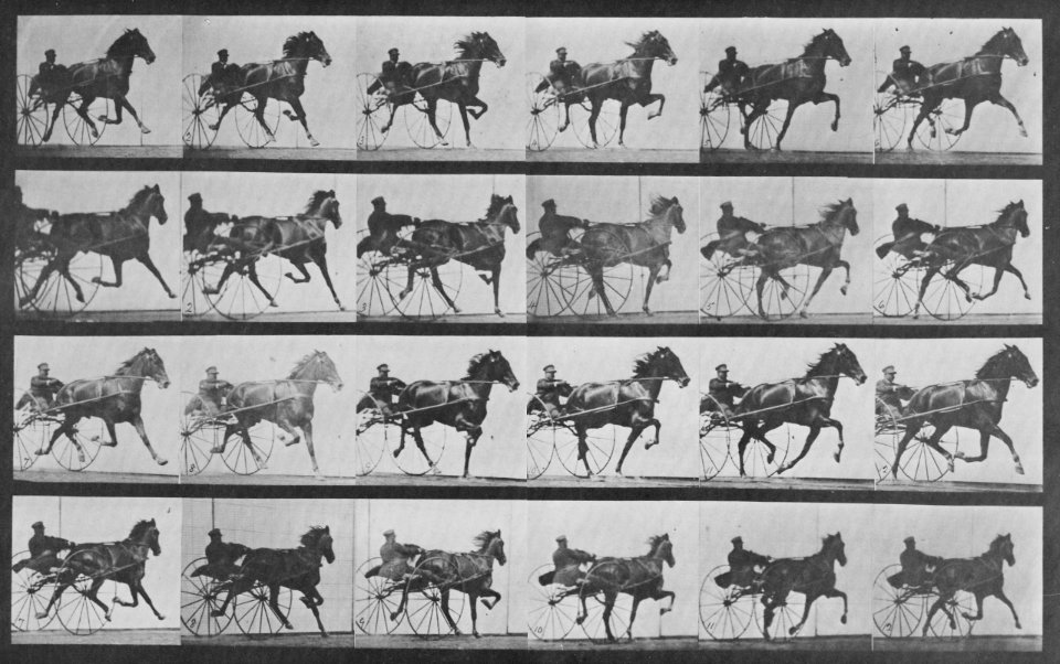 Muybridge, Eadweard - Nellie Rose mit Sulky (0.47 Sekunden) (Zeno Fotografie)