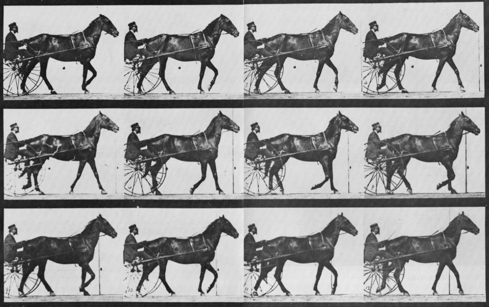 Muybridge, Eadweard - Reuben mit Sulky (0.32 Sekunden) (Zeno Fotografie)
