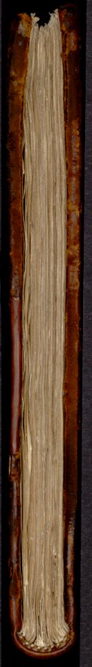 Mellange, curiosités et petites inventions de Jacques Cellier – Bibliothèque Sainte-Geneviève MS1111-172