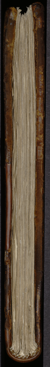 Mellange, curiosités et petites inventions de Jacques Cellier – Bibliothèque Sainte-Geneviève MS1111-172