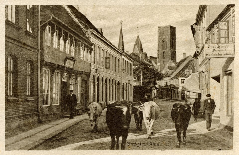 Mellemdammen (2)
