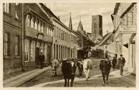 Mellemdammen (2)