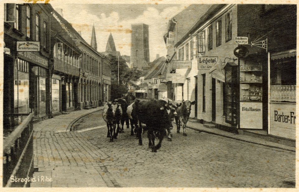 Mellemdammen
