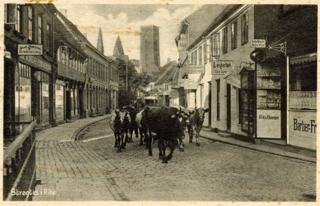 Mellemdammen