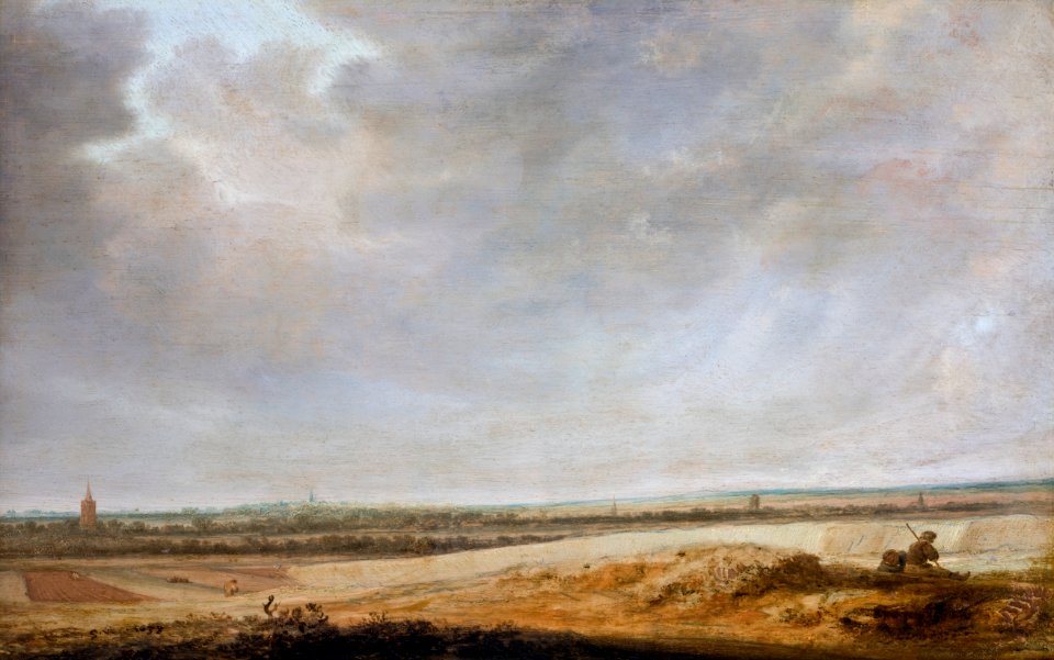Målning. Landskap med sädesfält. Salomon van Ruysdael - Hallwylska museet - 86743