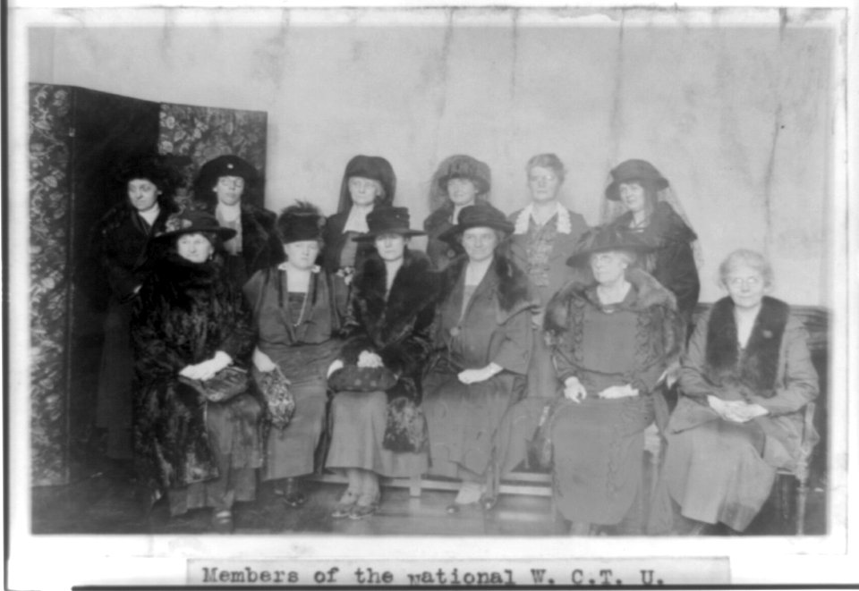 Members of the national W.C.T.U. committee which founded the Grace Dodge Hotel for women in Washington, D.C., who are on tour of the completed hotel, which has been in operation for several LCCN96510572