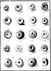 Mycenaean Troy p097-Fig 36