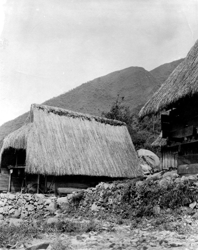 Mellan Santa Rosa och Cochabamba - SMVK - 005891