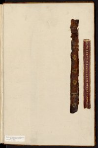 Mellange, curiosités et petites inventions de Jacques Cellier – Bibliothèque Sainte-Geneviève MS1111-169