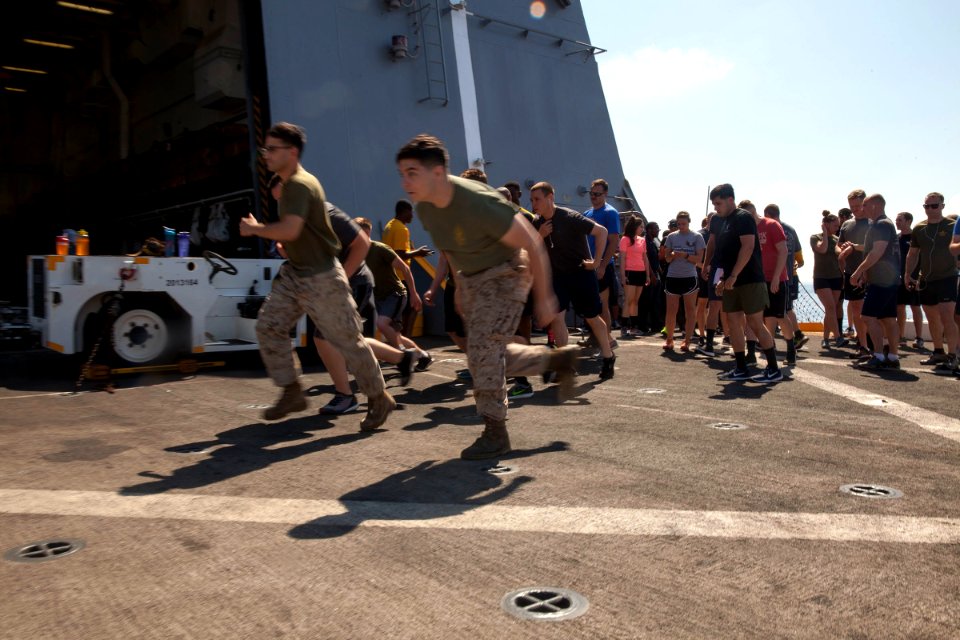 Memorial Day fun run (34304268323)