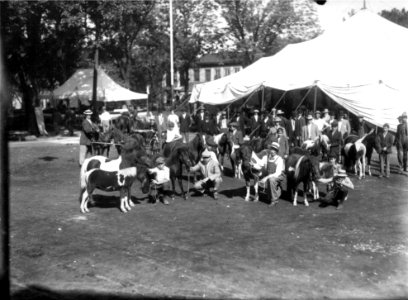 Men and boys with ponies at Oxford Street Fair ca. 1912 (3195487772) photo