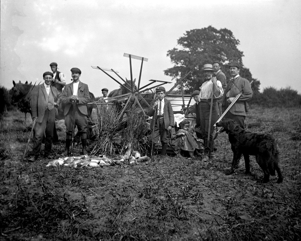 Men around the reaping machine YORYM-S84