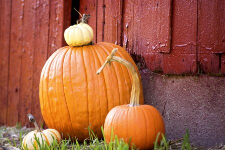 Country harvest fall