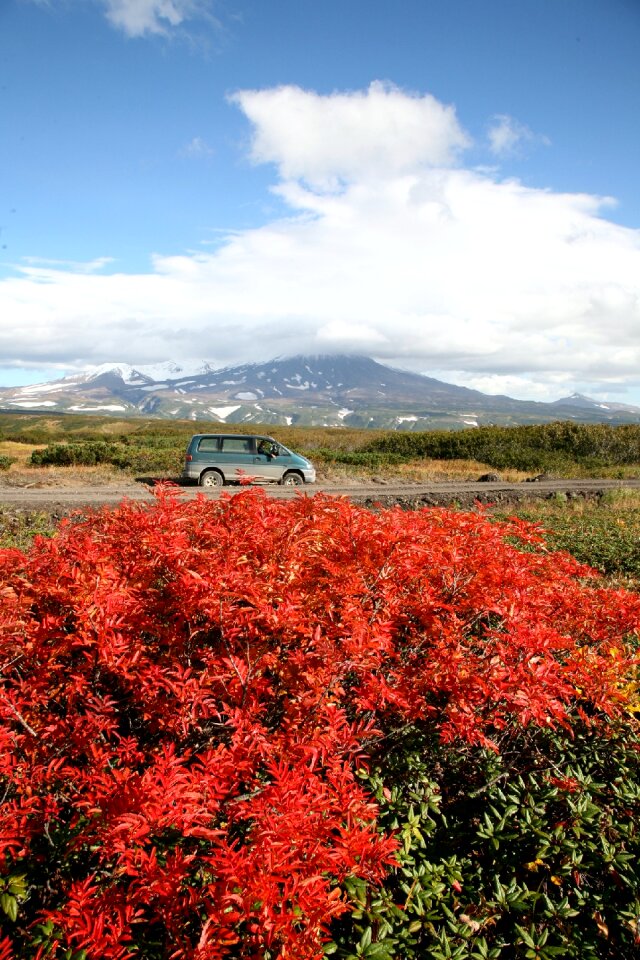 Mountain plateau fall colors rowan