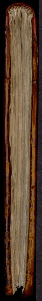 Mellange, curiosités et petites inventions de Jacques Cellier – Bibliothèque Sainte-Geneviève MS1111-171