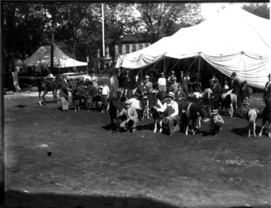 Men with ponies at Oxford Street Fair ca. 1912 (3199638029)