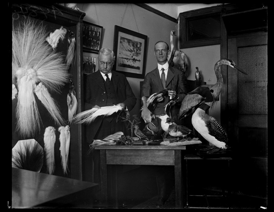 Men with stuffed birds LCCN2016891693