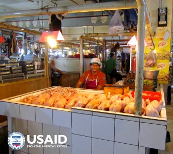 Mencegah Pandemi Flu Burung (35580725665)