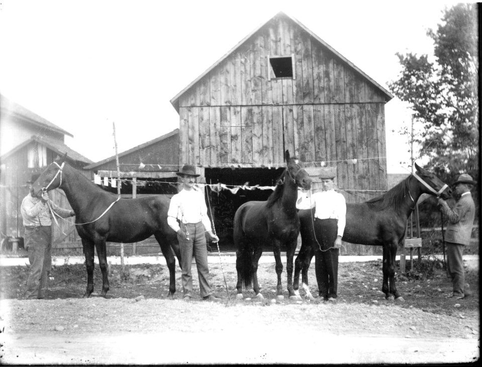 Men and horses in front of barn 1904 (3194667567)