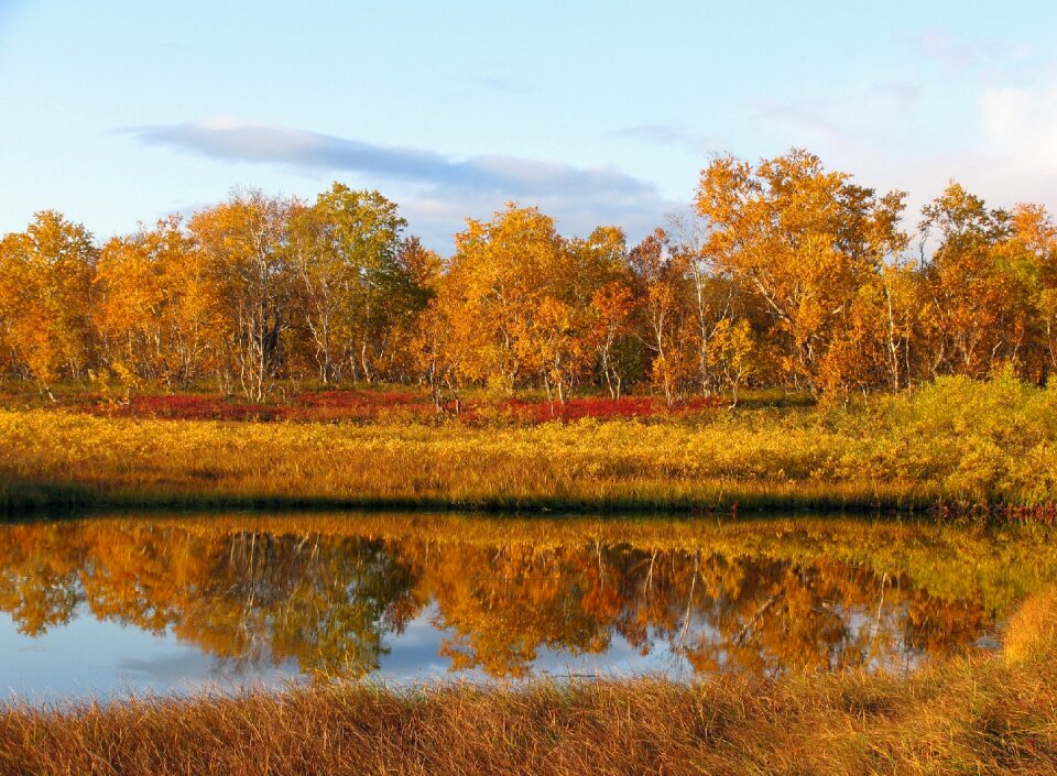Autumn fall colors reflection