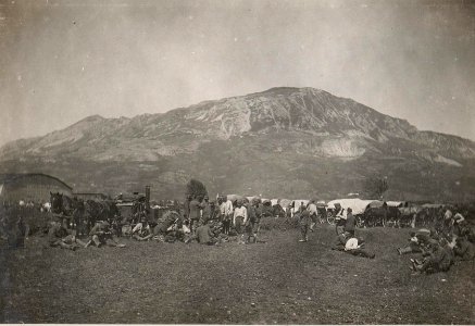 Menagierende Truppen in Haidenschaft.25.8.17. (BildID 15598889)