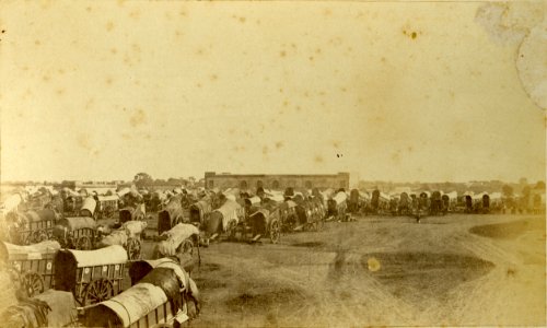 Mercado de Constitución (Gonnet, 1864) photo