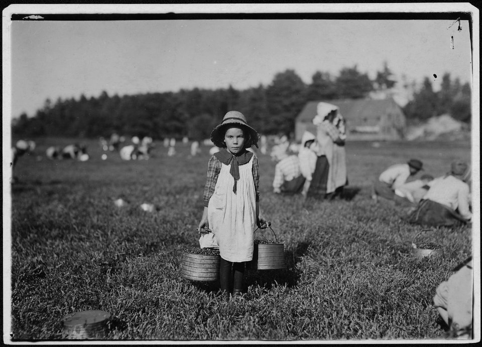 Merilda, carrying cranberries. Rochester, Mass. - NARA - 523476