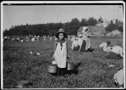 Merilda, carrying cranberries. Rochester, Mass. - NARA - 523476
