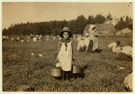 Merilda. Carrying cranberries. Witness, Richard K. Conant. LOC cph.3a15211