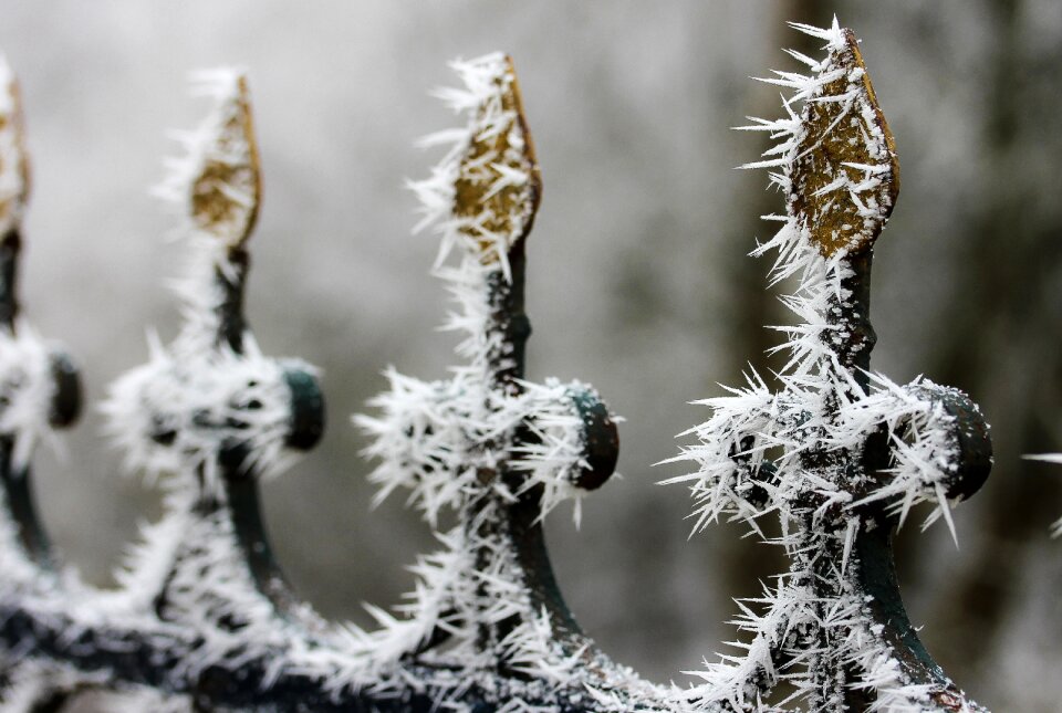 Wrought iron fence cold rimy