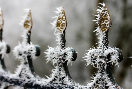 Wrought iron fence cold rimy